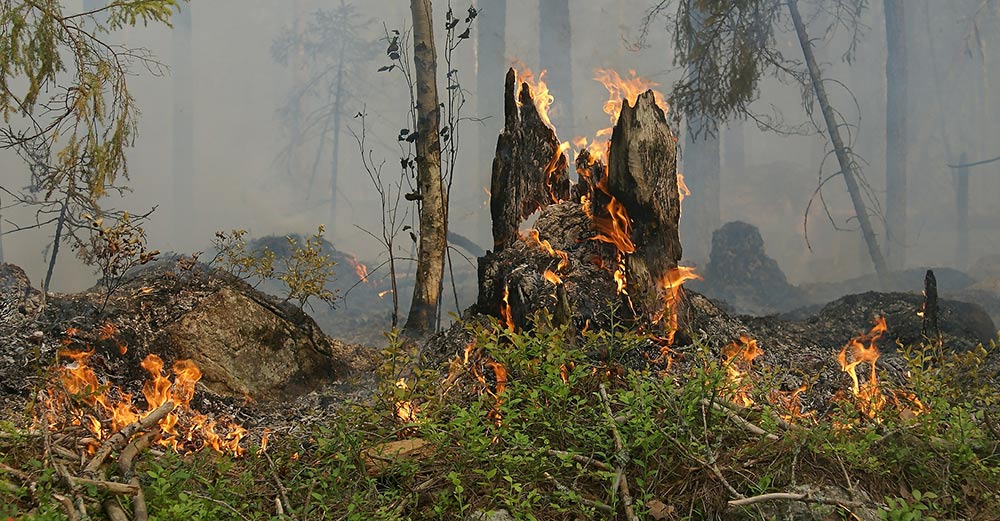 Vorsicht: Hohe Brandgefahr in Wald und Feld