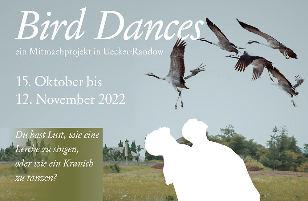 Bird Dances: Ein Mitmachprojekt in Uecker-Randow