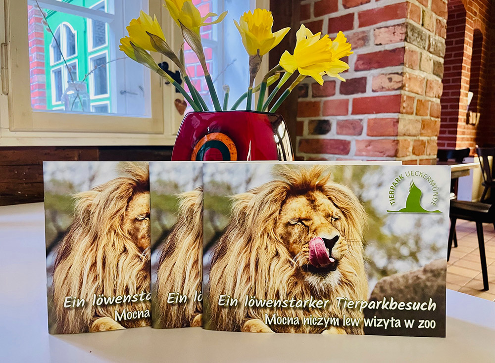 Löwenstark: Die neue Tierpark-Zeitung ist da!