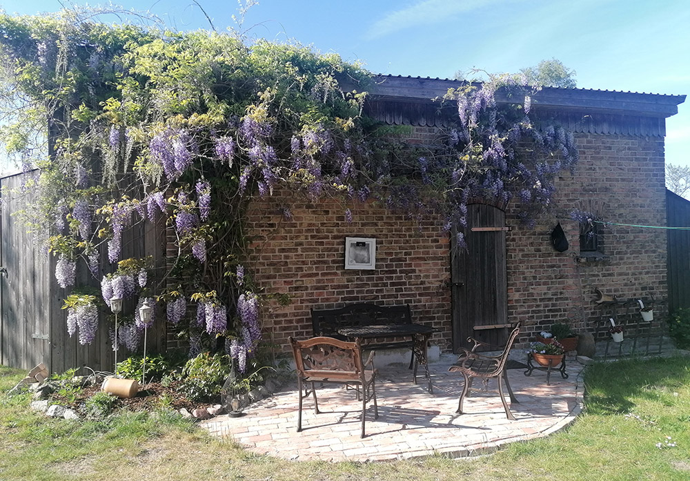 Ausstellung „Natur und Wunder“ an Pfingsten im Müllerhausgarten