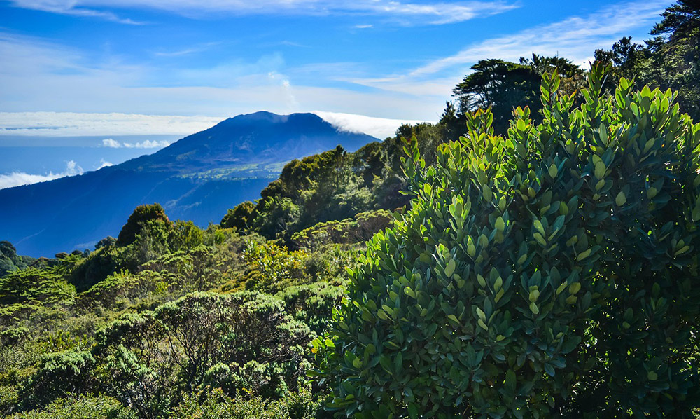 Vortrag: Aus dem Regenwald in den Ueckermünder Tierpark