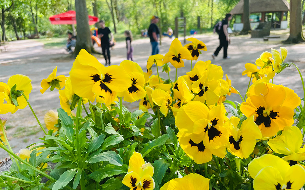 Fleißige Helfer gesucht! Tierpark lädt zum Frühjahrsputz ein