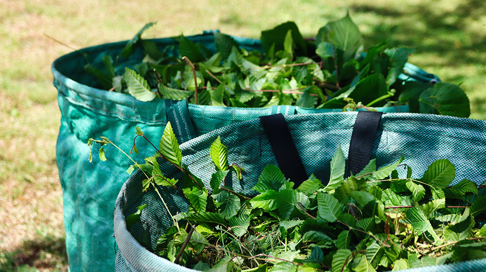 Wertstoffhof Torgelow vorübergehend geschlossen