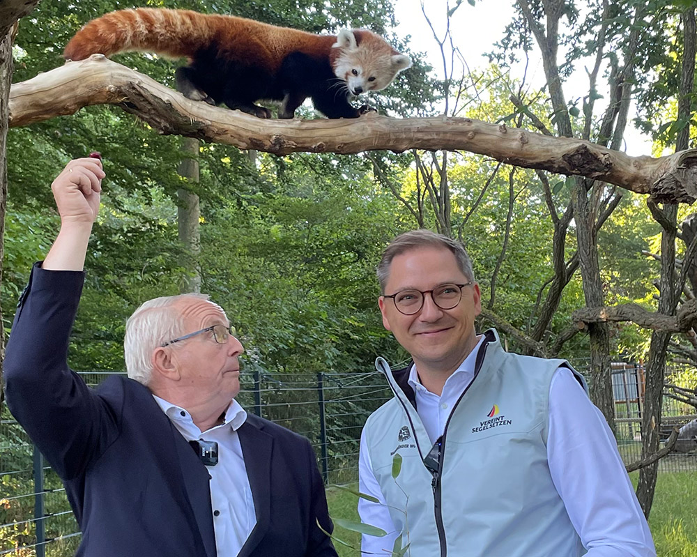 Große Freude im Tierpark: Rote Pandas heißen jetzt Manju und Amber