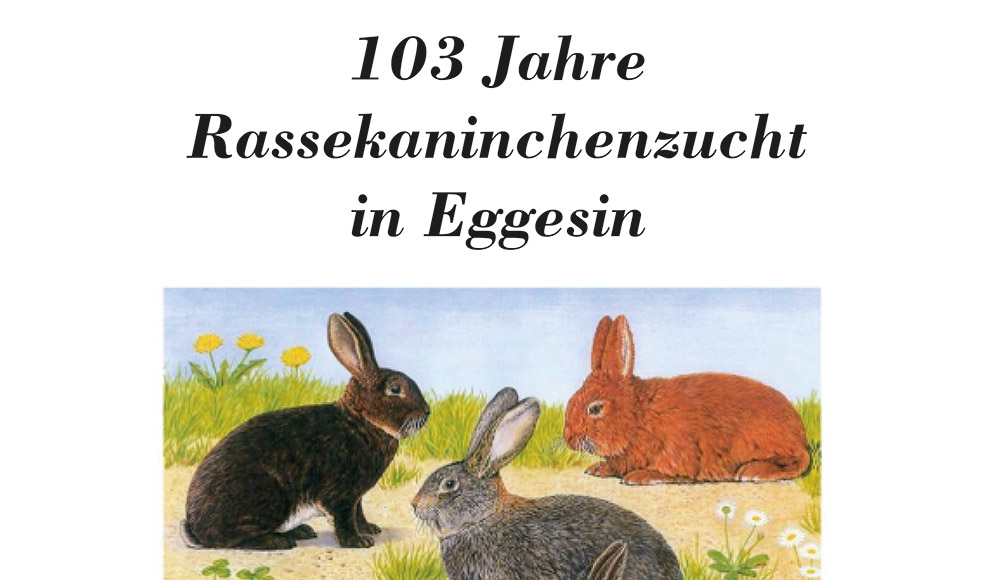 Rassekaninchen-Ausstellung lädt nach Eggesin ein