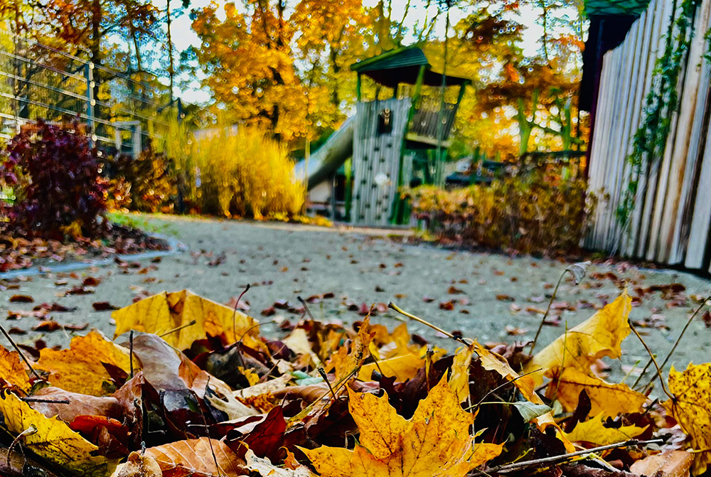 Fleißige Helfer für den Herbstputz gesucht!